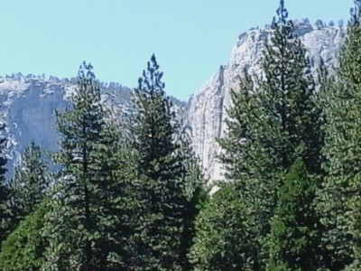 The &quot;Needle&quot;, rock climbers go here!